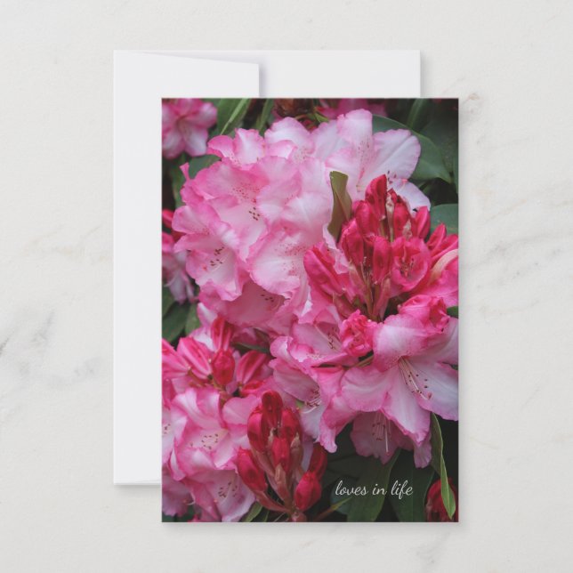 Big Rosa Rhododendron Anteckningskort (Framsida)