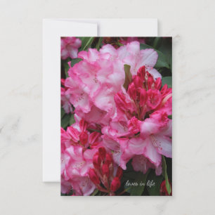 Big Rosa Rhododendron Anteckningskort