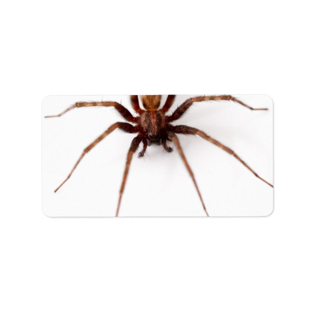 Big Scary Spider Adressetikett (Framsidan)
