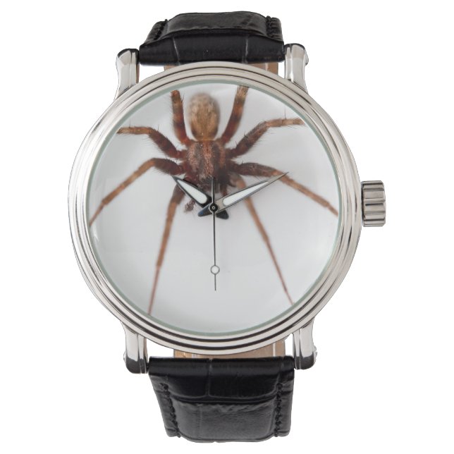 Big Scary Spider Armbandsur (Framsida)