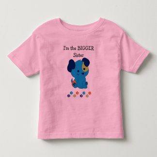 Big Sister Tee Shirt