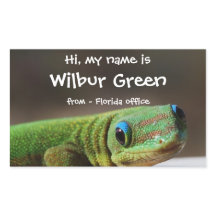 Big Smiling Gecko Namn Badge