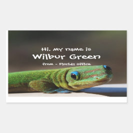 Big Smiling Gecko Namn Badge Rektangulärt Klistermärke