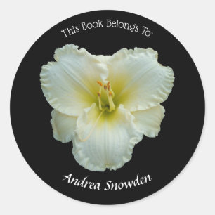 "Big Snowbird" Vit Daylily på svart bokplatta Runt Klistermärke