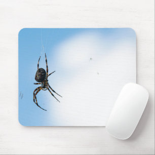 Big Spider Hanging från Webben Musmatta