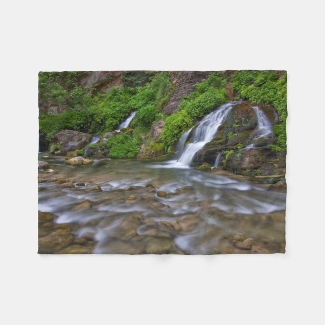 Big Springs Virgin River | Zion National Park Fleecefilt (Framsidan (Horisontell))