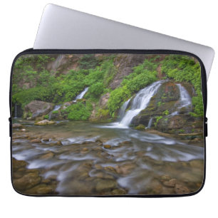 Big Springs Virgin River Zion National Park Laptop Fodral