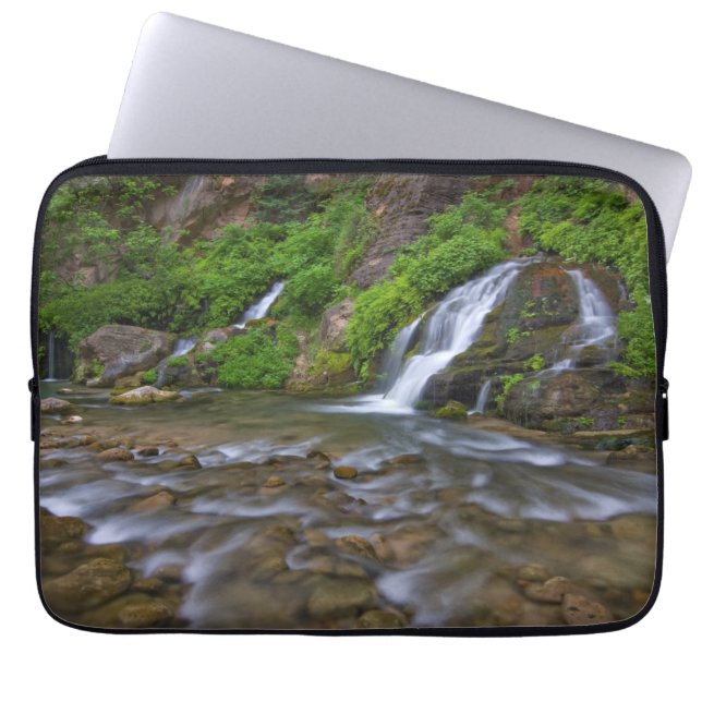 Big Springs Virgin River | Zion National Park Laptop Fodral (Framsidan)