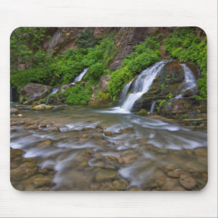 Big Springs Virgin River Zion National Park Musmatta