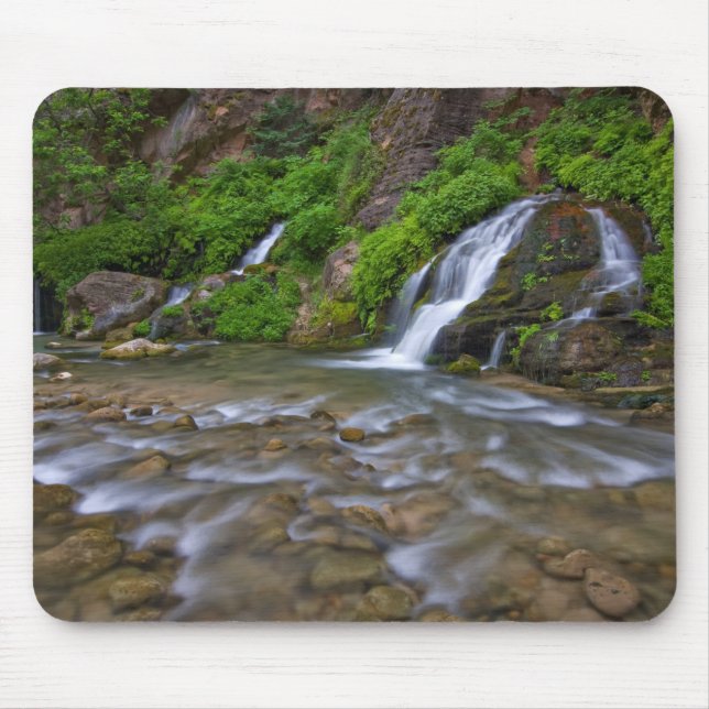 Big Springs Virgin River | Zion National Park Musmatta (Framsidan)