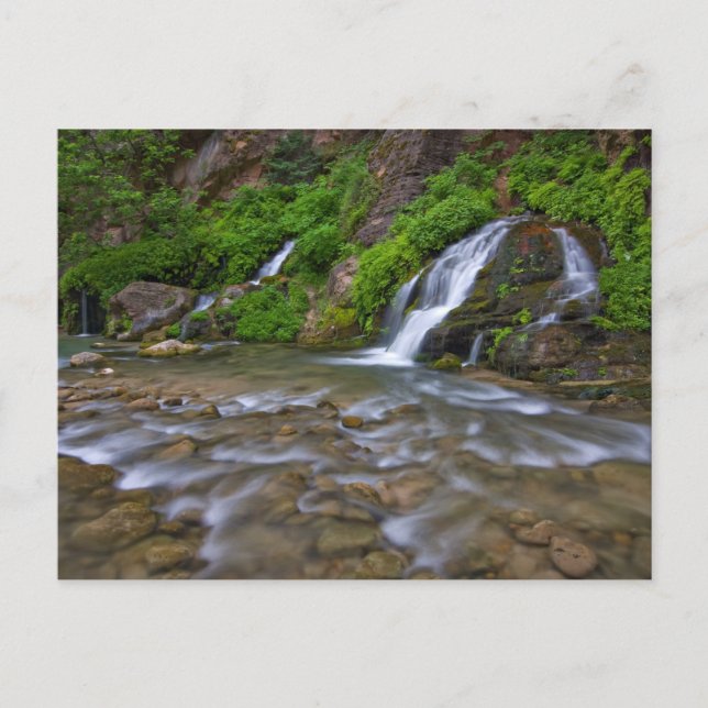 Big Springs Virgin River | Zion National Park Vykort (Framsida)