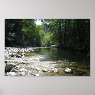 Big Sur Campground - Stream Flyter genom Träd Poster