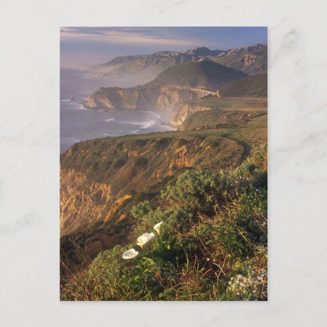 Big Sur Kusten Kalifornien Vykort (Framsida)