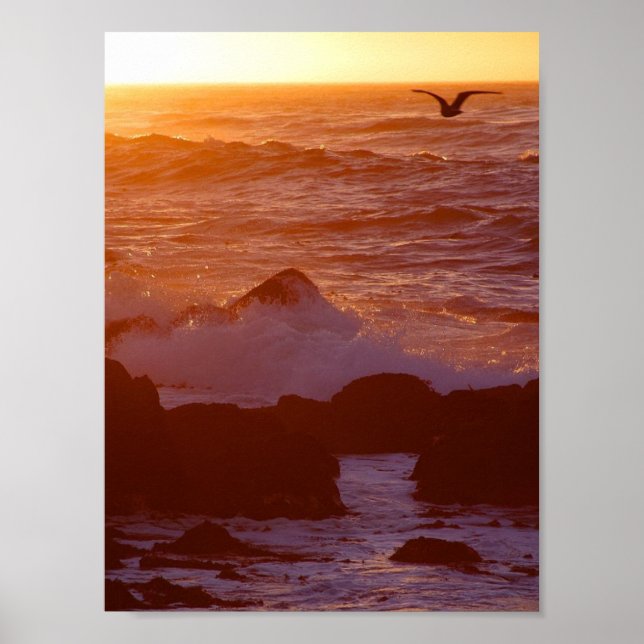Big Sur Poster (Framsidan)