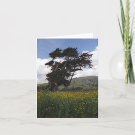 Big Sur träd-kort Helgkort