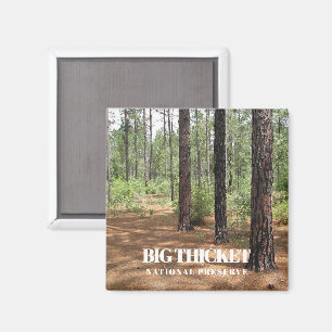 Big Thicket National Preserve, Gräs Forest, Texas Magnet
