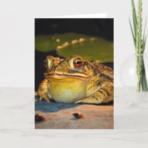 Big Tjock Toad Kort