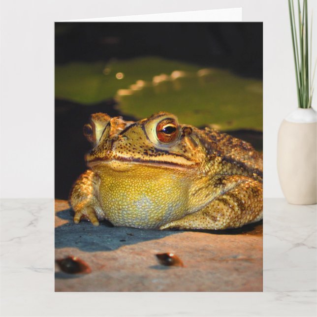 Big Tjock Toad Kort (Framsida)