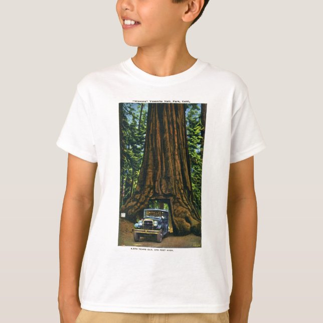 Big Träd Wawona, Mariposa Grove, CA Tee Shirt (Framsida)