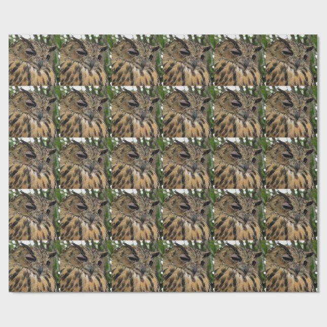 Big Uggla Bubo Bubo Boo-Halloween-serien Presentpapper (Platt)