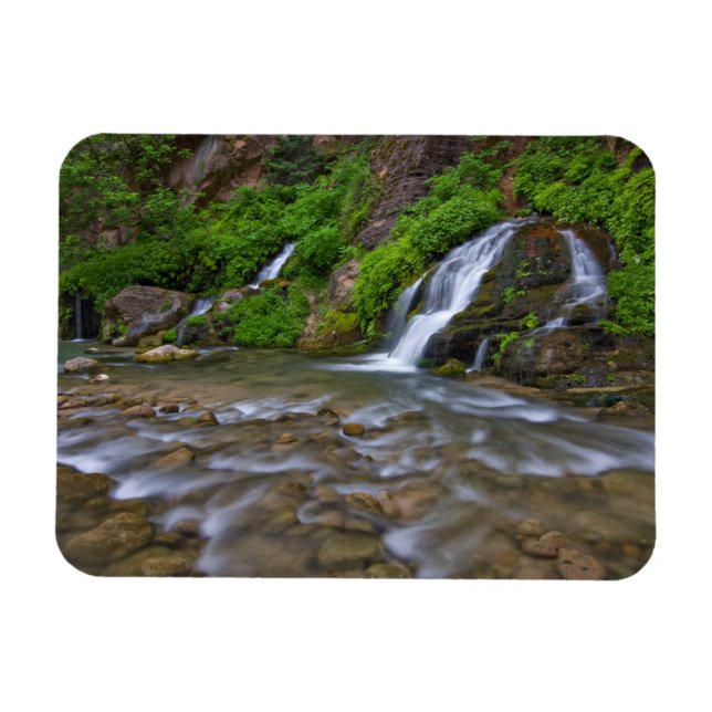 Big Vår Virgin River | Nationalparken Zion Magnet (Horisontell)