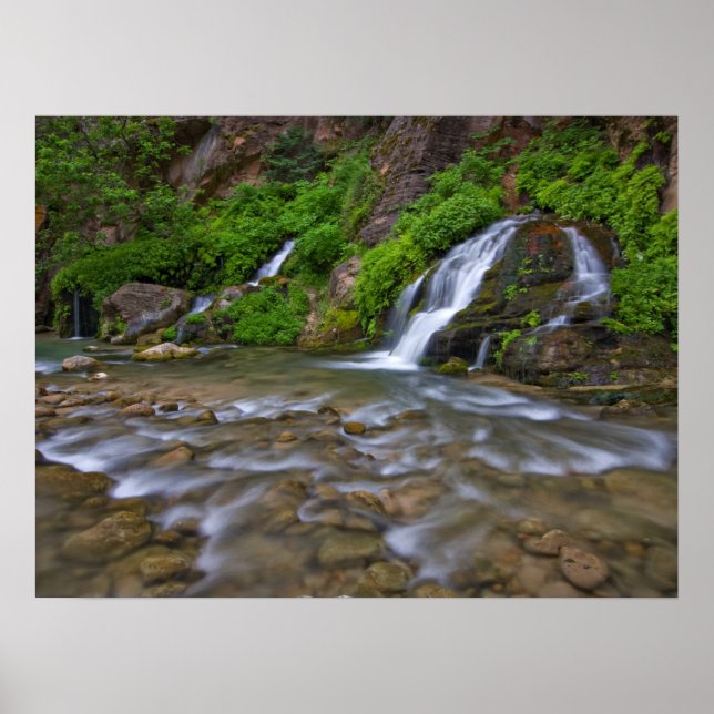 Big Vår Virgin River | Nationalparken Zion Poster (Framsidan)