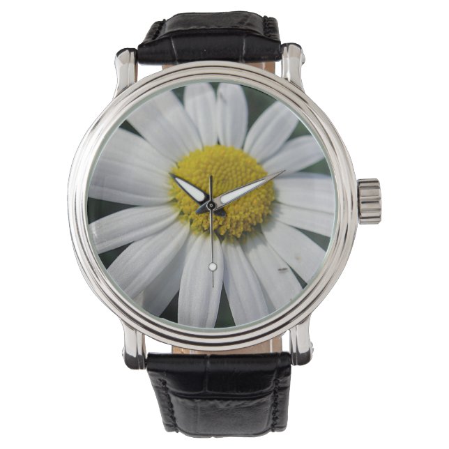 Big White-Daisy Armbandsur (Framsida)