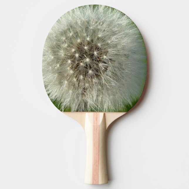 Big White Dandelion Pingisracket (Framsidan)