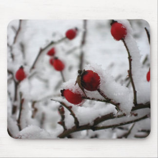 big_winter musmatta