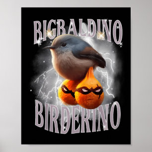 Bigbaldino Birderino Funny Italy Brainrot Meme G Poster