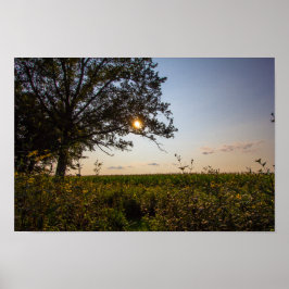 Bigelow Cemetery State Preserve, Ohio Poster