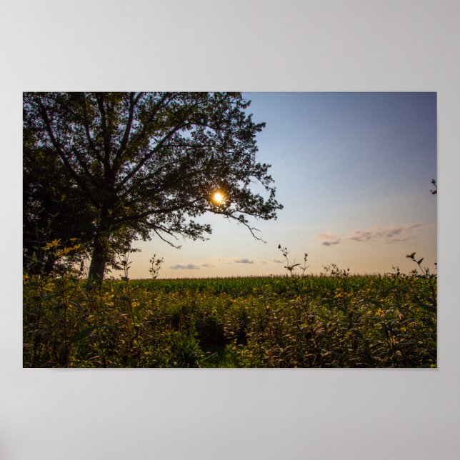Bigelow Cemetery State Preserve, Ohio Poster (Framsidan)