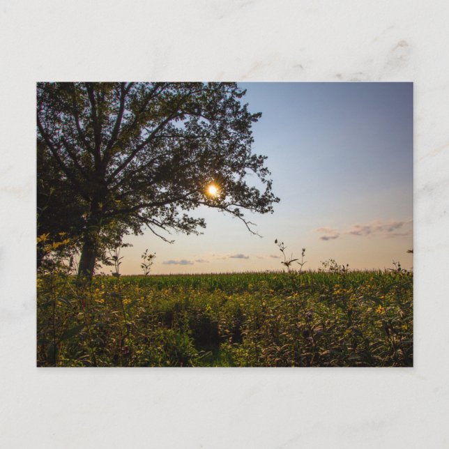 Bigelow Cemetery State Preserve, Ohio Vykort (Framsida)