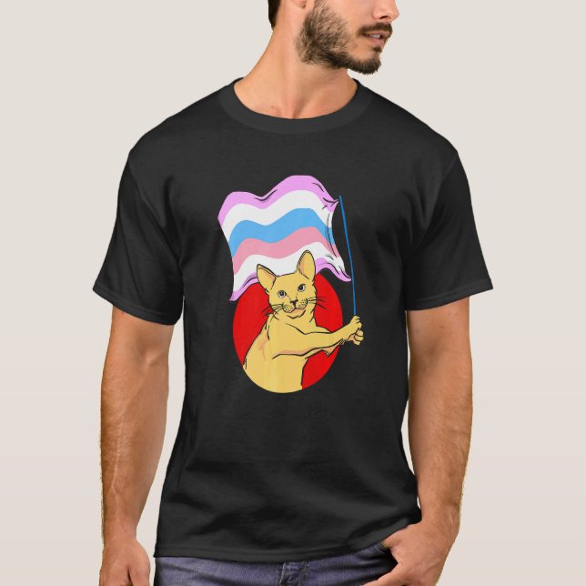 Bigender Flagga Katt Icke-binär könsidentitet T Shirt (Framsida)