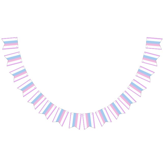 Bigender Pride Flagga Bunting Banner LGBT Party (Alla)