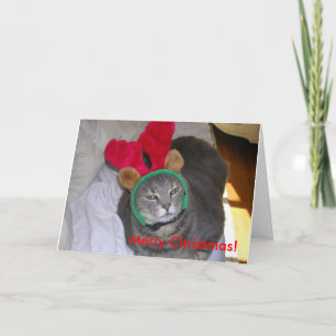 bigfatcat god jul! helgkort
