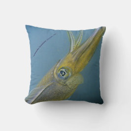 Bigfin reef squid, Sepioteuthis leoniana. Kudde