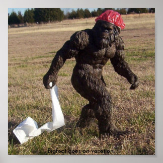 Bigfoot-iakttagelse Poster