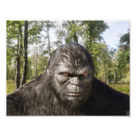 BIGFOOT SASQUATCH PORTRÄTT Photo Utvidgning Fototryck