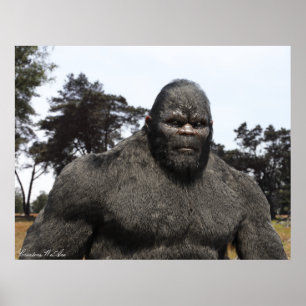 BIGFOOT SASQUATCH PORTRÄTT POSTER