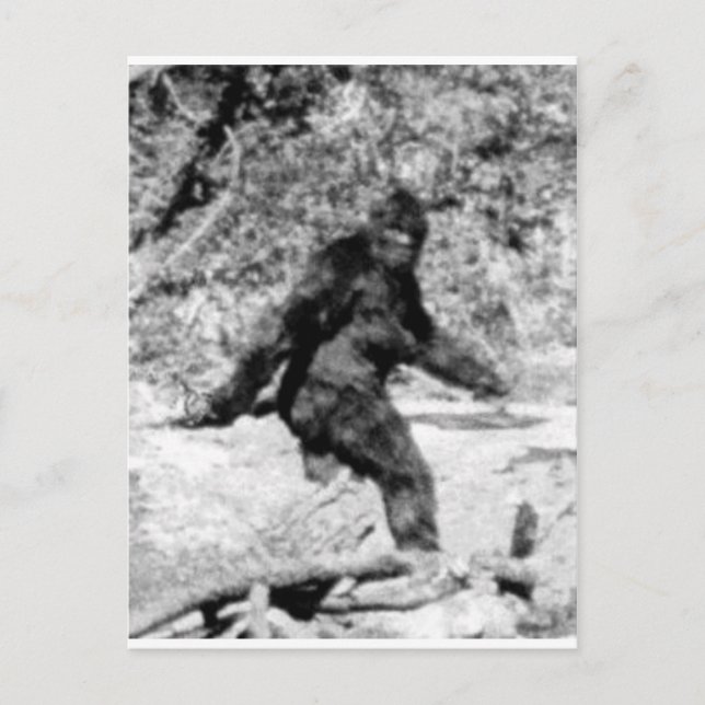 Bigfoot Vykort (Framsida)