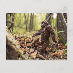 Bigfoot-vykort Sasquatch Vykort