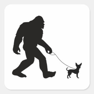 Bigfoot Walking Chihuahua Fyrkantigt Klistermärke
