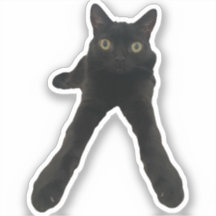 bigFootjinx cat