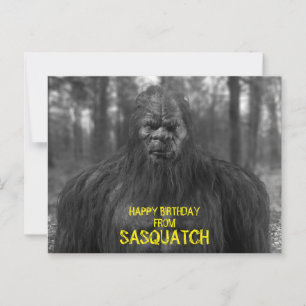 bigfot,sakvatch,POSTCARD Vykort