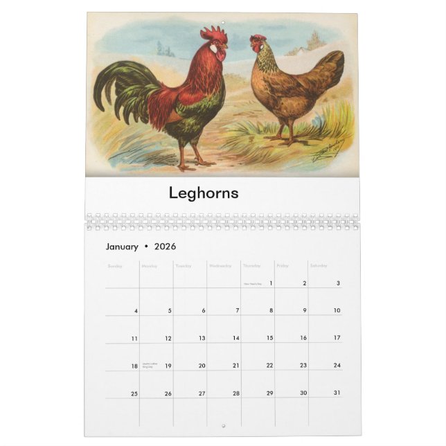 Biggle höna Calendar Kalender (Jan 2026)