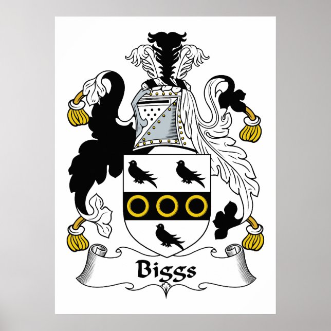 Biggs Family Crest Poster (Framsidan)