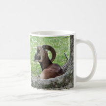 Bighorn Mugg