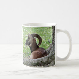 Bighorn Mugg