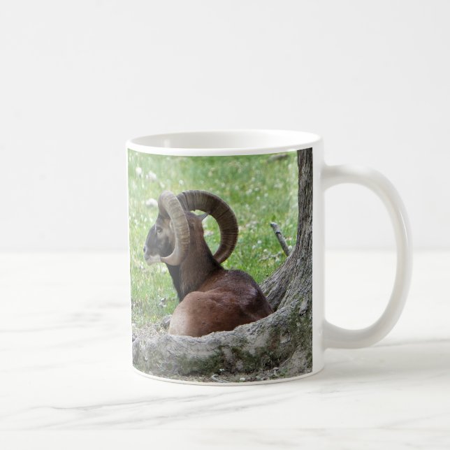 Bighorn Mugg (Höger)